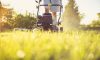 ﻿How to Choose the Best Grass Mower