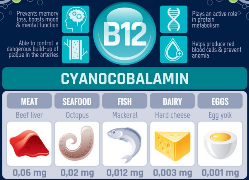 Cyanocobalamin plays an important role
