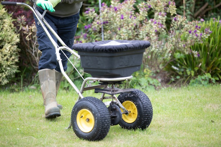 lawn fertiliser